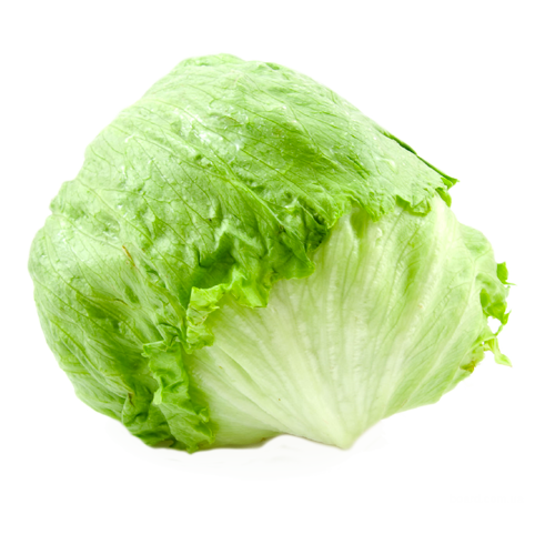 Insalata iceberg 0,5kg - Nature King