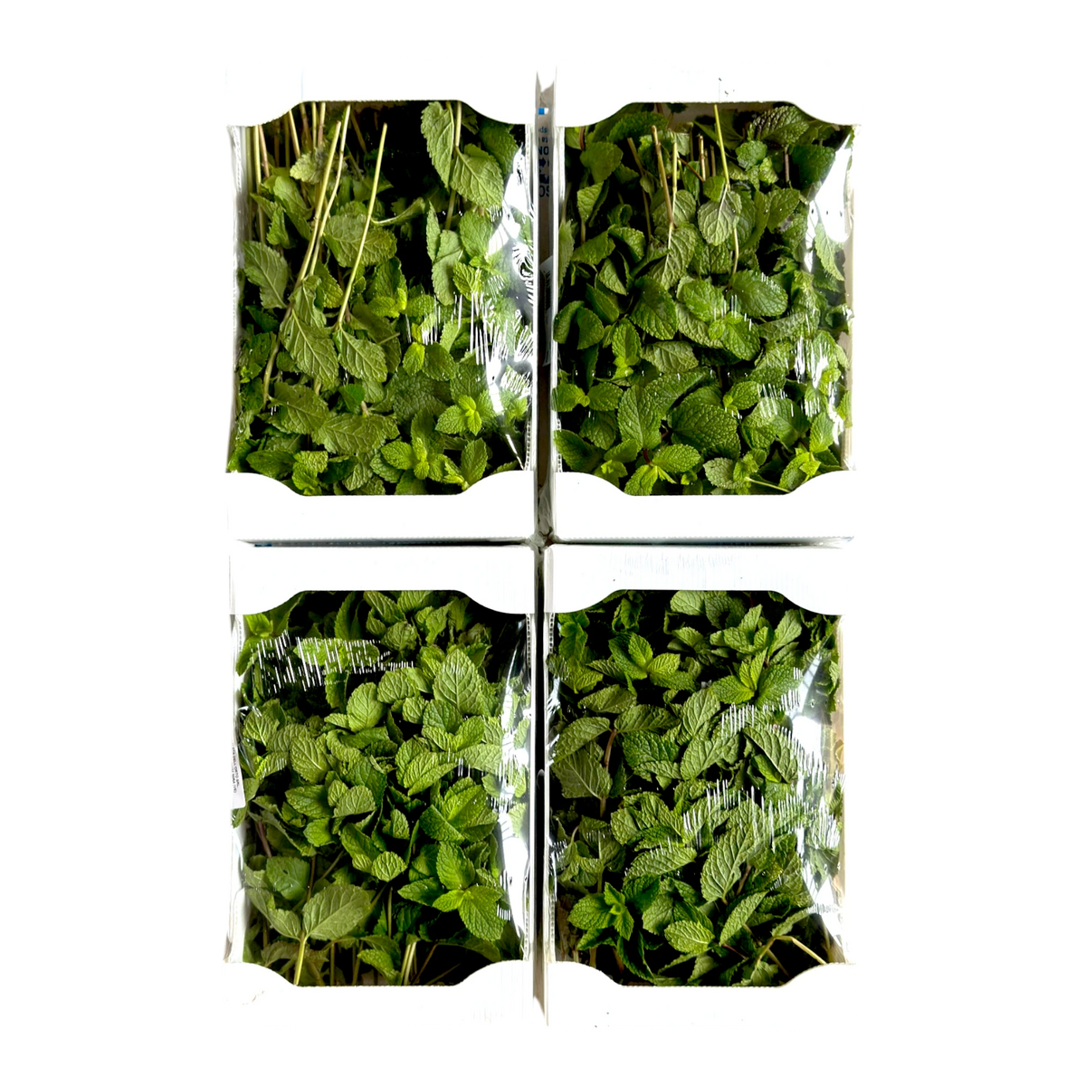 Menta fresca, 4 vaschette da 250 gr viste dall'alto | Nature King