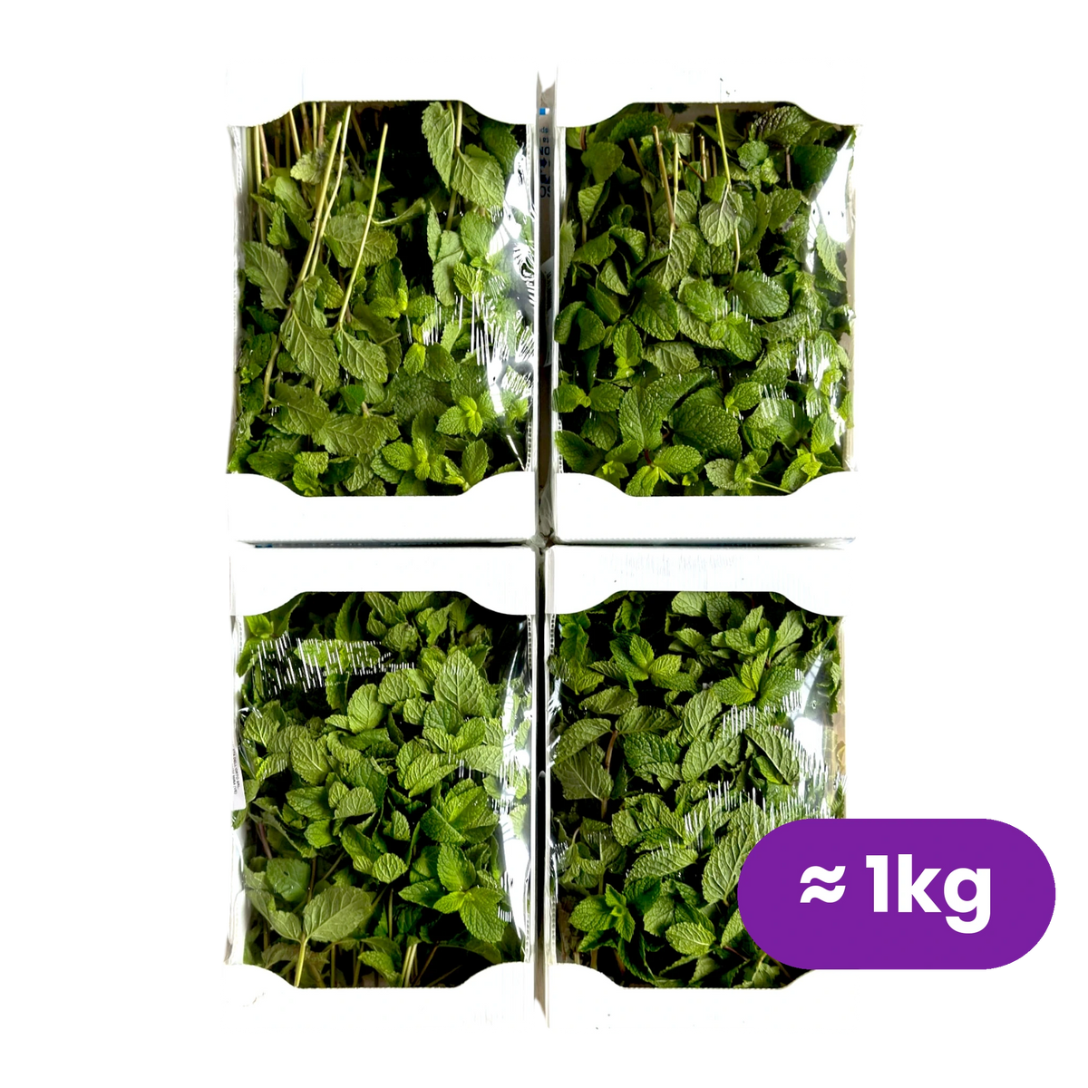 Menta fresca, 4 vaschette da 250 gr con cartellino del peso | Nature King