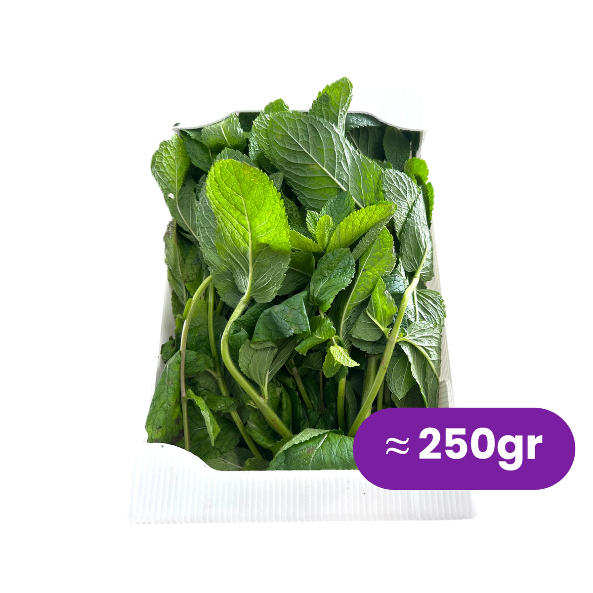 Menta fresca, vaschetta singola da circa 250 gr con cartellino del peso | Nature King