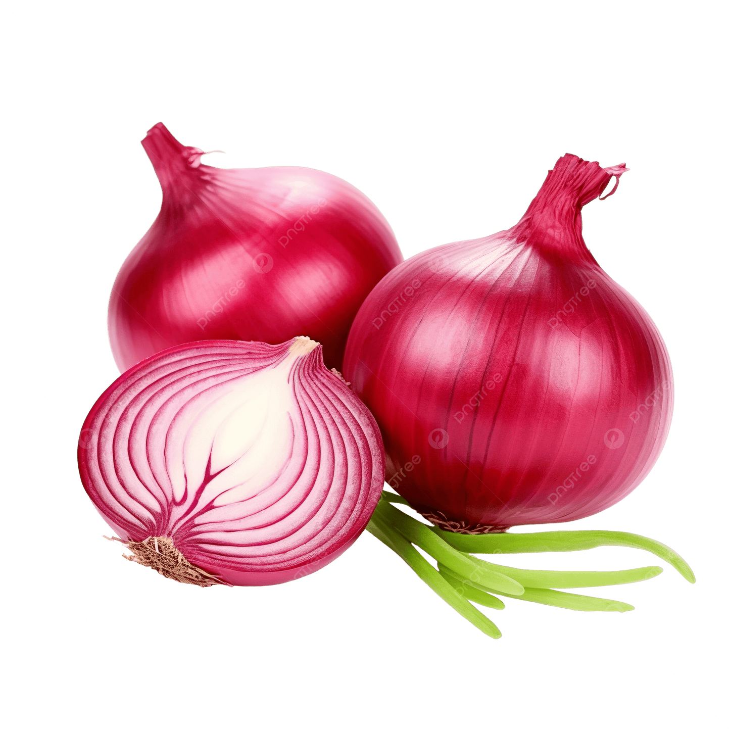 Cipolla rossa 1kg - Nature King