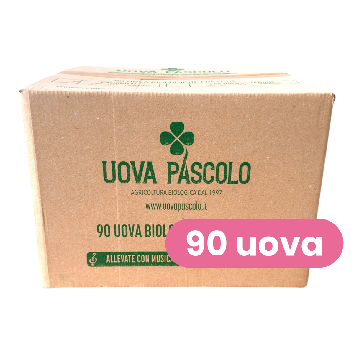 Uova biologiche Pascolo, cartone da 90 uova con cartellino | Nature King