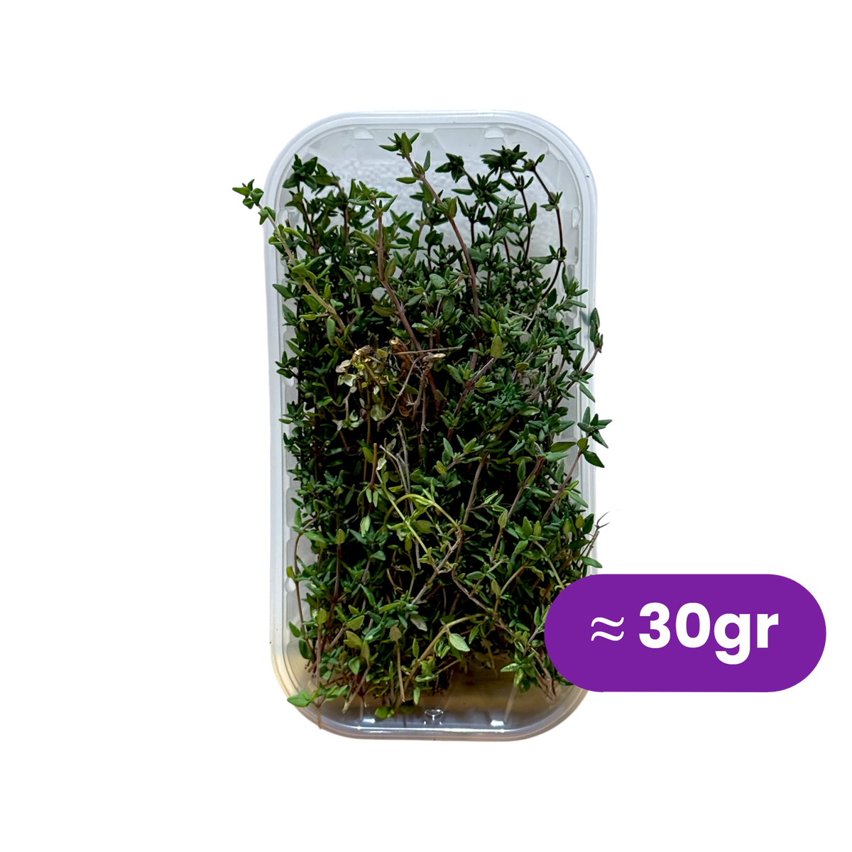 Vaschetta di timo fresco confezionato da 30 gr, Nature King