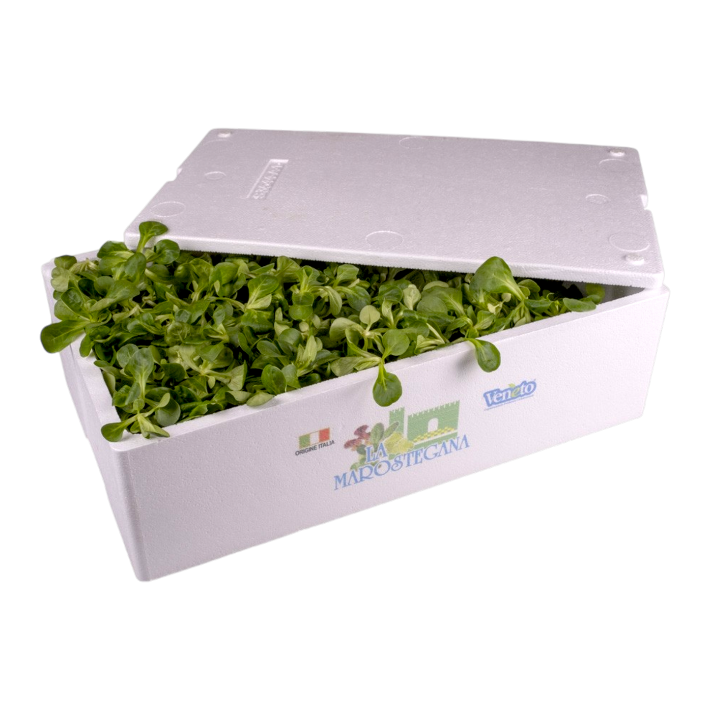 🥗 Valeriana Lavata – Pronta all’Uso - Nature King